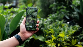 Can a garden be enhanced with various apps?