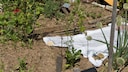 Old clothes don't necessarily need to be thrown away; they can serve a purpose in the garden.