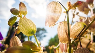 Can Warm Days in September Really Predict the Winter?