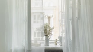 Objects on the Windowsill