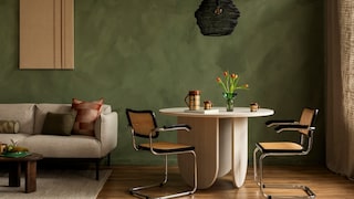 Olive Green Interior Design