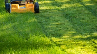 Even in September, the lawn needs attention.