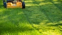 Even in September, the lawn needs attention