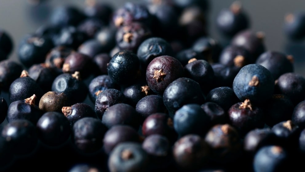 Cooking Juniper Berries