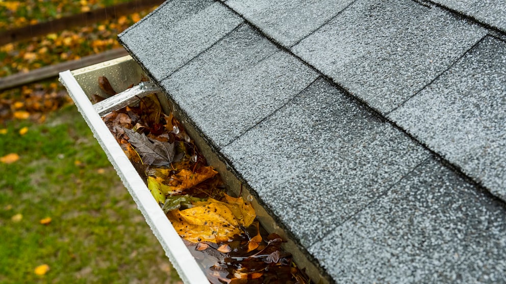 To prevent too many leaves from getting caught in the gutter, there are several protection systems available.