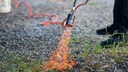 Weeds usually don't look nice, but can you just burn them off?