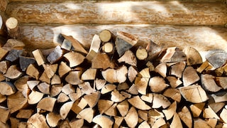 There are many opinions on how long firewood needs to be stored before it is dry.