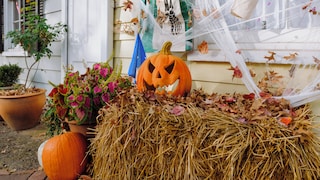 Halloween Decoration