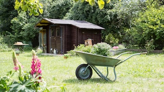 In the garden shed, there's room for many things–but caution is advised with some items.