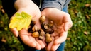 Autumn is the perfect time for gathering fruit.