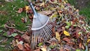 Autumn Leaves in the Garden