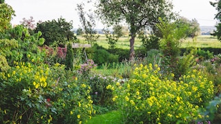 Wabi Sabi Garden