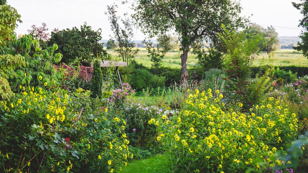Wabi Sabi Garden