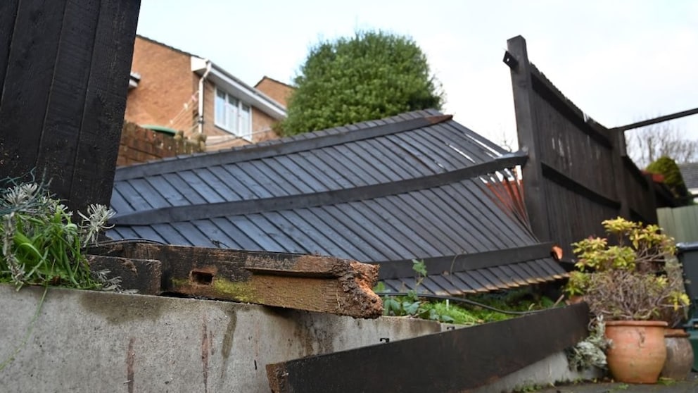 Fence Damage