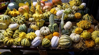 Decorative Gourds Are Not for Eating