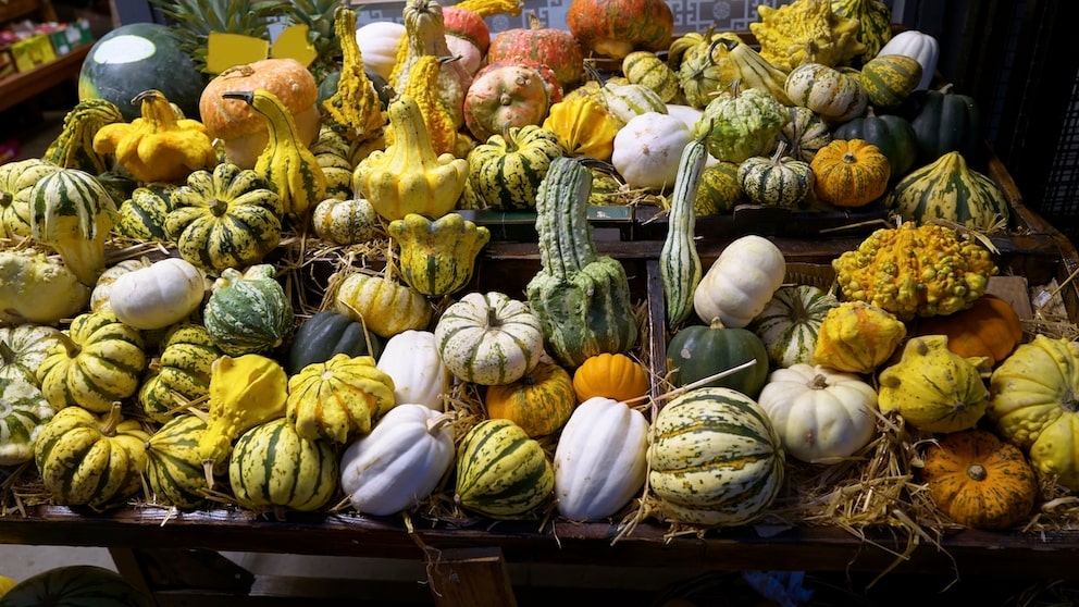 Decorative Gourds Are Not for Eating