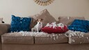 Dog Liability Insurance: Jack Russell Terrier on Destroyed Couch