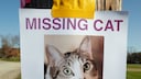 A poster shows a missing cat