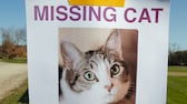 A poster shows a missing cat