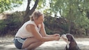 The "off" signal is very important for dog training