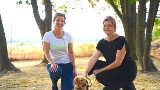 Teaching Your Dog to Come When Called