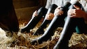People wearing riding boots sit next to each other