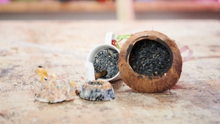 DIY Bird Feed in Various Shapes