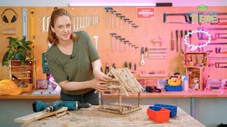 Screenshot from the video of the first episode of DIY for Animals, "Building Your Own Birdhouse"