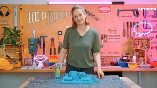 Screenshot from the seventh episode of DIY for Animals