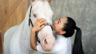 Woman kisses white horse on head