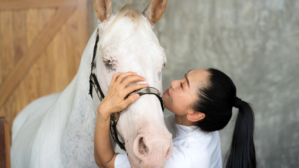 Woman kisses white horse on head