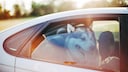 Leaving dogs in the car when it's hot can quickly become a life-threatening danger