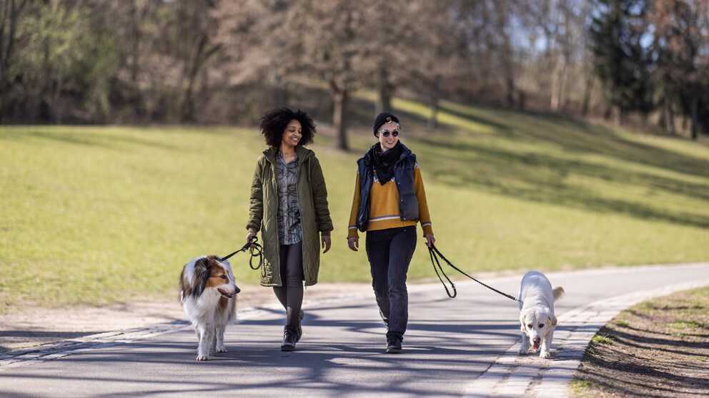 Two women are walking their dogs in the park.