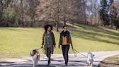 Two women are walking their dogs in the park.