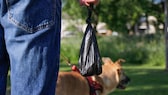 Owner taking the dog for a walk and carrying a filled poop bag