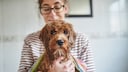 Owner holding a wet dog wrapped in a towel