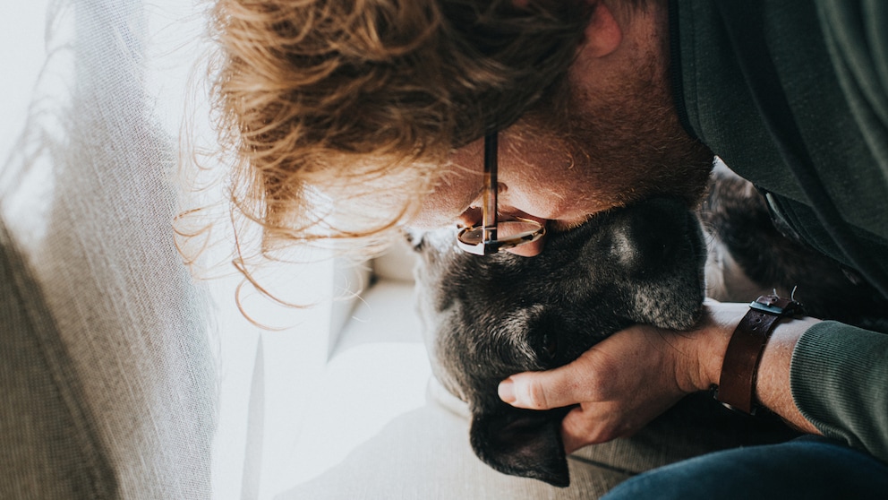 For many owners, a pet is not just an animal, but a fully-fledged member of the family. It is, therefore, difficult for many to let them go