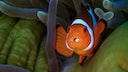 Clownfish that appears to have eyes on its tongue