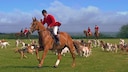 Animal Suffering in England