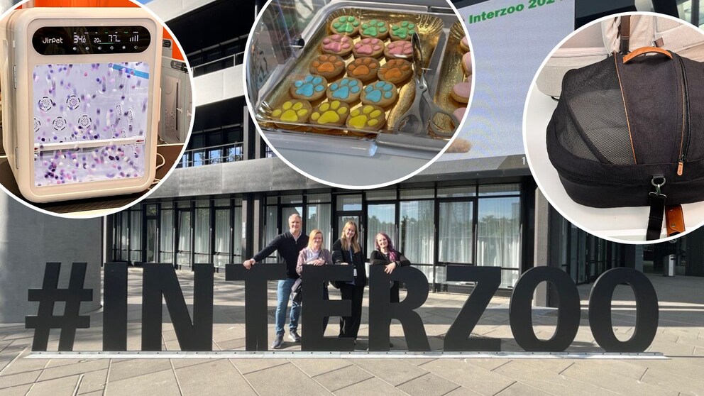 Michael Beck, Louisa Stoeffler, and Saskia Schneider at Interzoo 2024