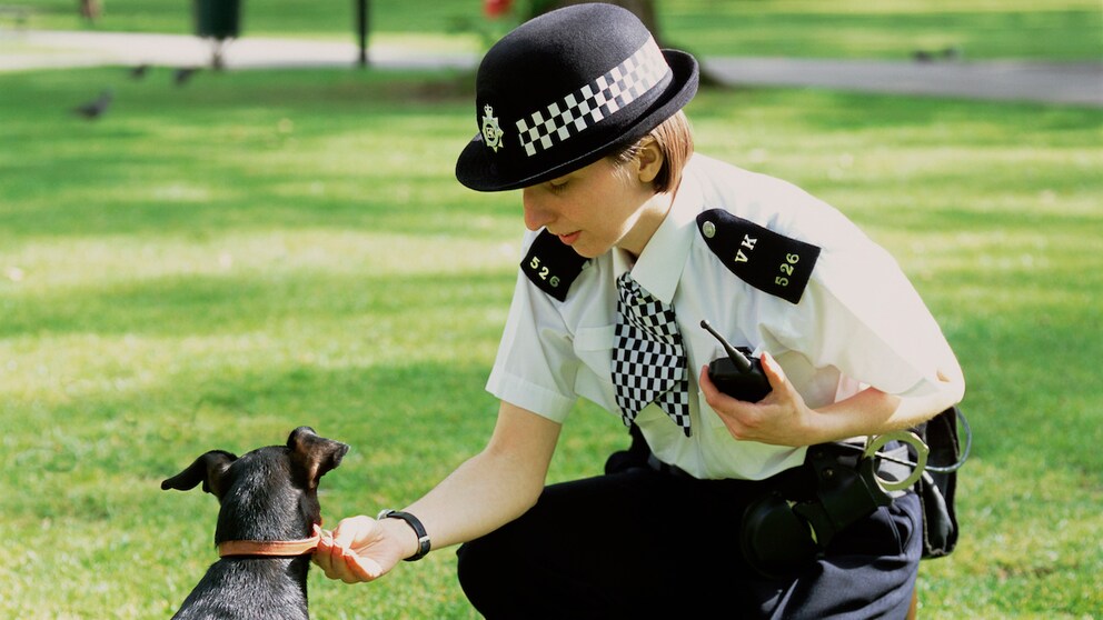 Police officer in London bends over a dog to check its tag