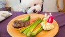 A dog sits in front of a plate of meat, mashed potatoes, and asparagus.