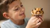 Hamsters not a pet for children