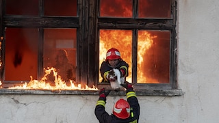 Firefighters rescue a cat from a burning house