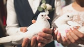 For many, white wedding doves are part of a successful wedding. But is this tradition still up to date?