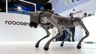 Robot dog