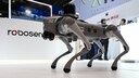 Robot dog