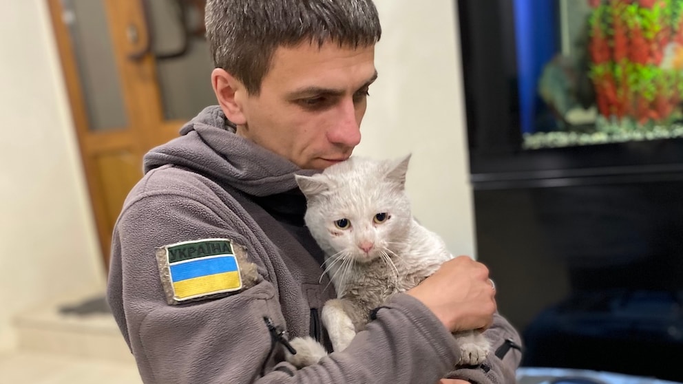 A small white cat perches traumatized on the arm of a soldier