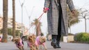Woman walking with three Yorkshire terriers on the sidewalk