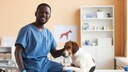 Researchers have developed a tool that allows owners of older dogs to find out the physical condition of their dog and how long the animal is likely to live